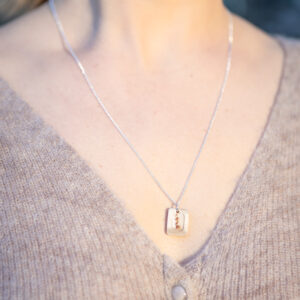 KIIRA x Sodankylän suolaheinä