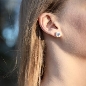 ROUKU x Lapin lemmikki